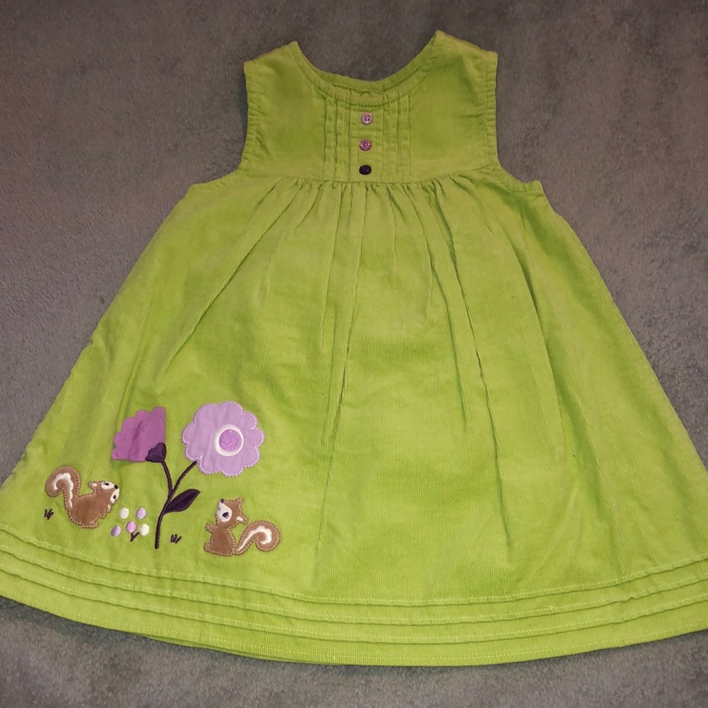 Lime Green Jumper w/Panty Squirrel Flower size 18-24m Gymboree